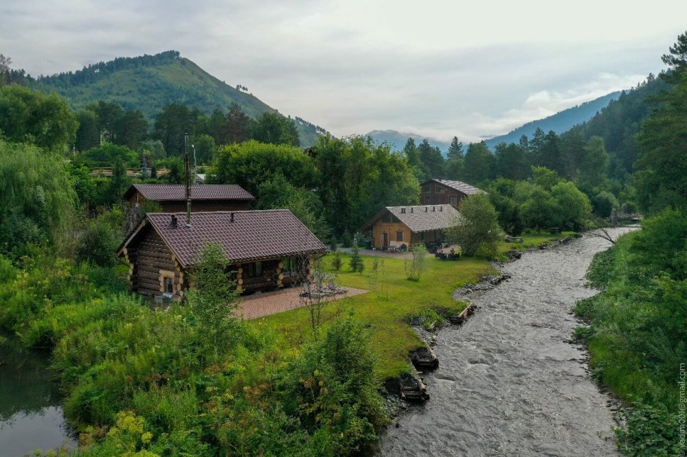 Сад Пионов , Горный Алтай (Республика Алтай): фото 3