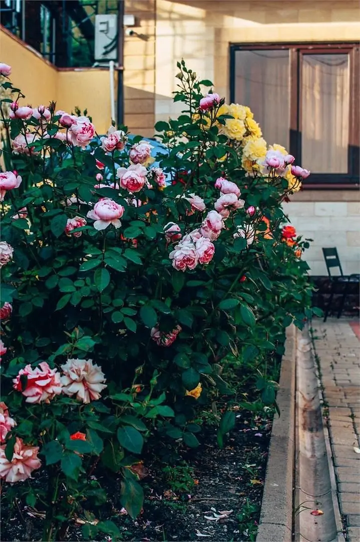 Alta Eco Villa, Краснодарский край: фото 3