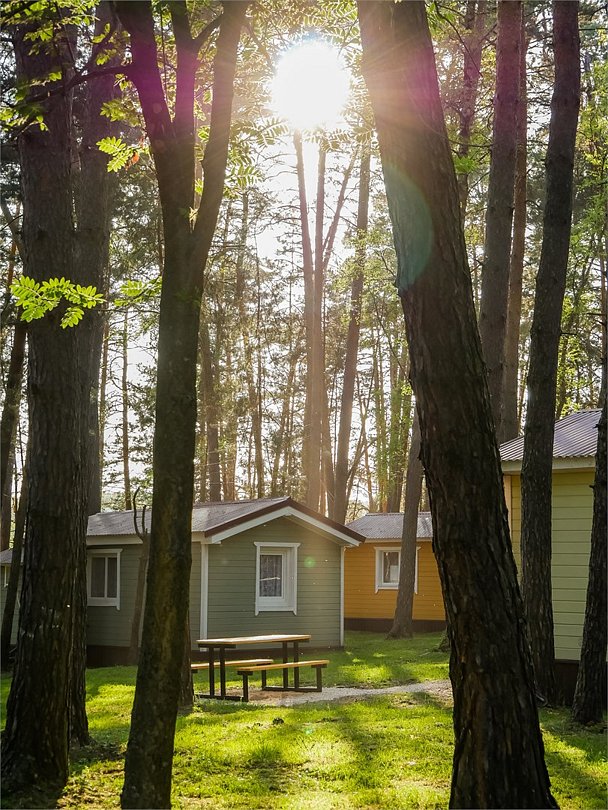 Парк-отель «Шахтёр», Тульская область: фото 4