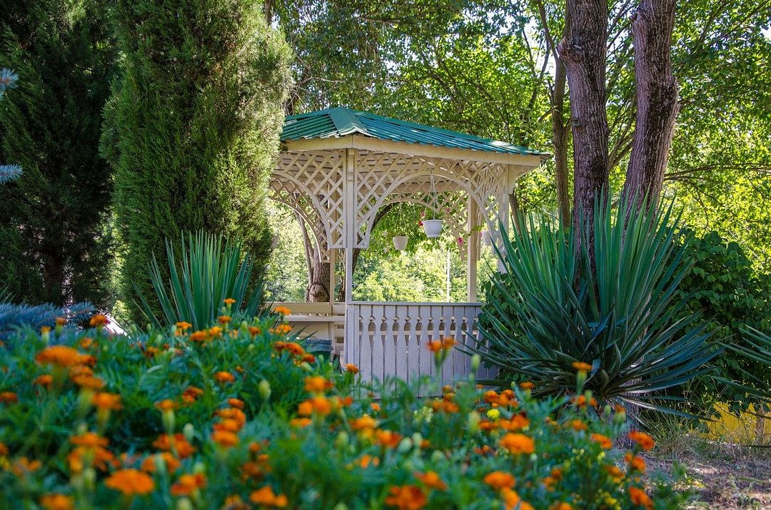 Ай-Лия, Крым: фото 4