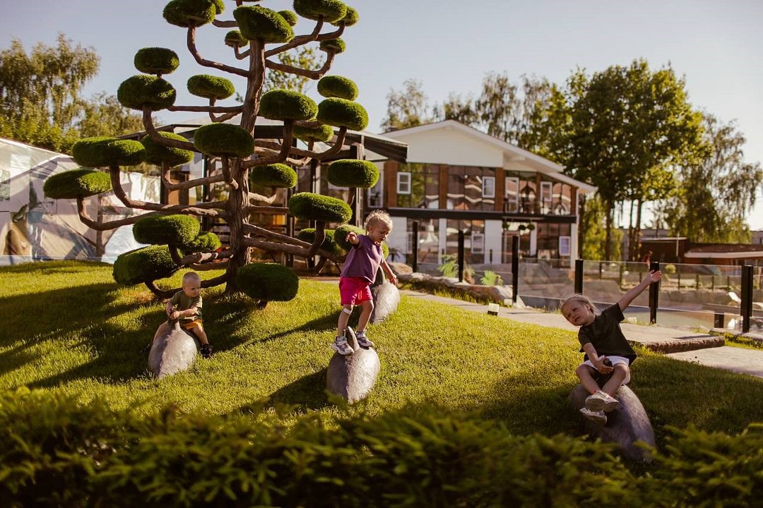 Загородный комплекс Dolphin Planet Hotel & SPA 4*, Ярославская область: фото 3