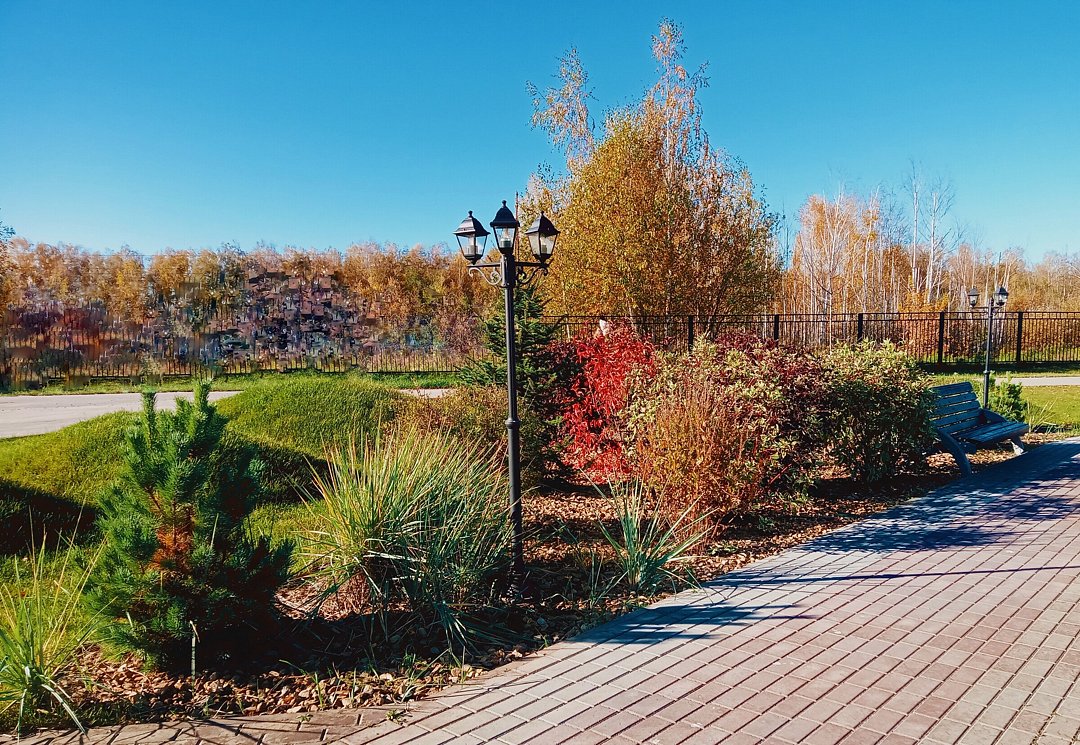 Колибри, Нижегородская область: фото 5