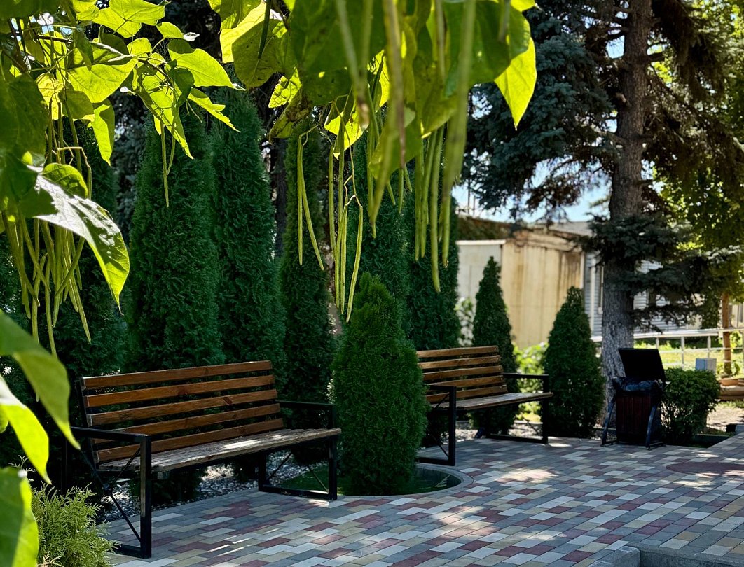 Моцарт, Краснодарский край: фото 4