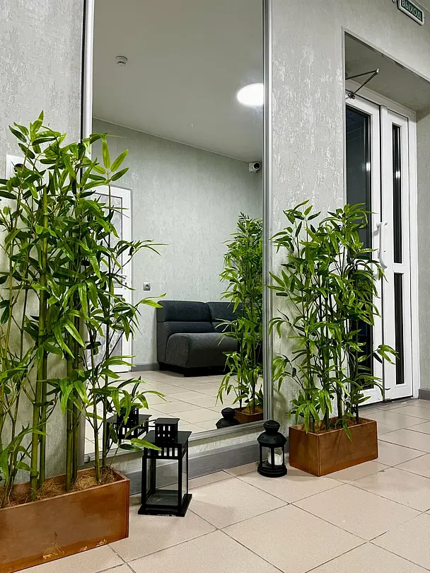 Вертикаль, Краснодарский край: фото 4