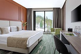 Standart, Отель Mairi Park Hotel, Архыз