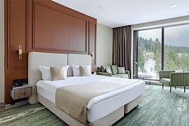 Standart Plus, Отель Mairi Park Hotel, Архыз