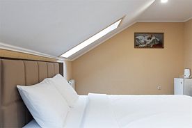 Стандарт, Отель Golden House, Сочи