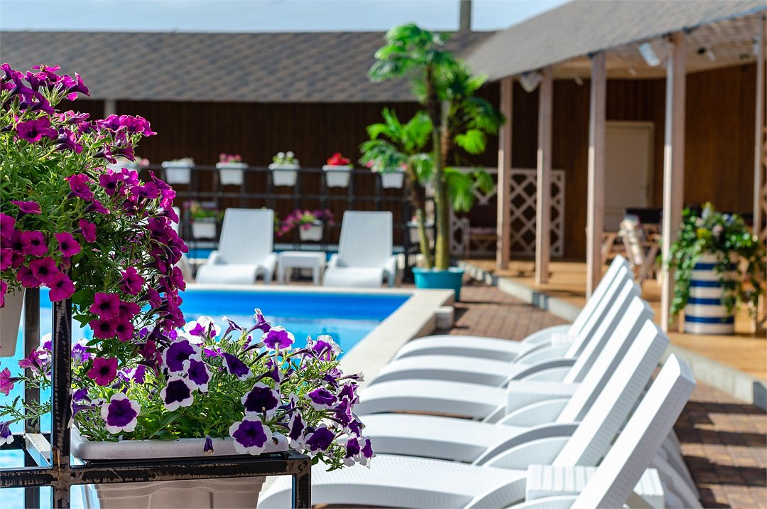 Ной на Пожарной, Краснодарский край: фото 3