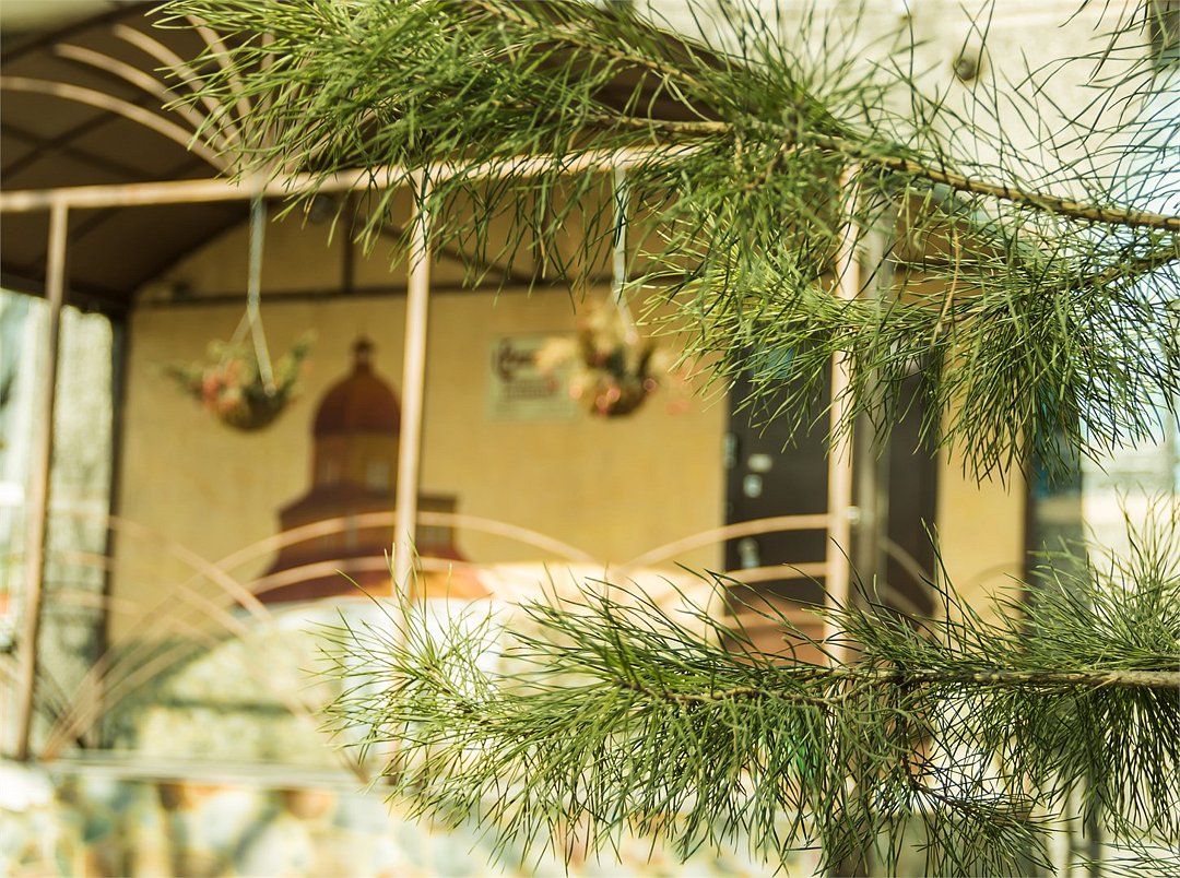 12 МЕСЯЦЕВ, Кемеровская область: фото 2