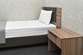 НОМЕР ЛОУКОСТЕР/LOWCOST ROOM, Гостиница Дворец Свадеб, Екатеринбург