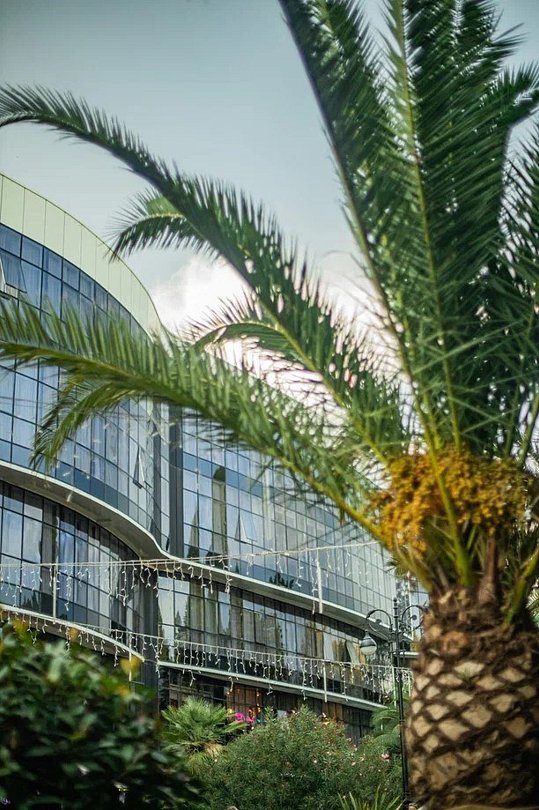 SunLine LUXury 4*, Краснодарский край: фото 3