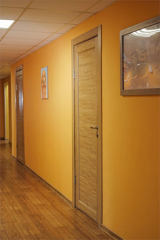 Визит (ЕКБ), Свердловская область: фото 5