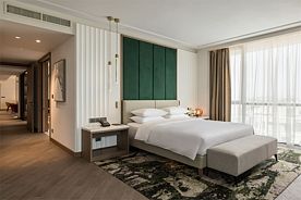 Президентский Люкс, Гостиница Hyat Regency (Ростов-на-Дону), Ростов-на-Дону