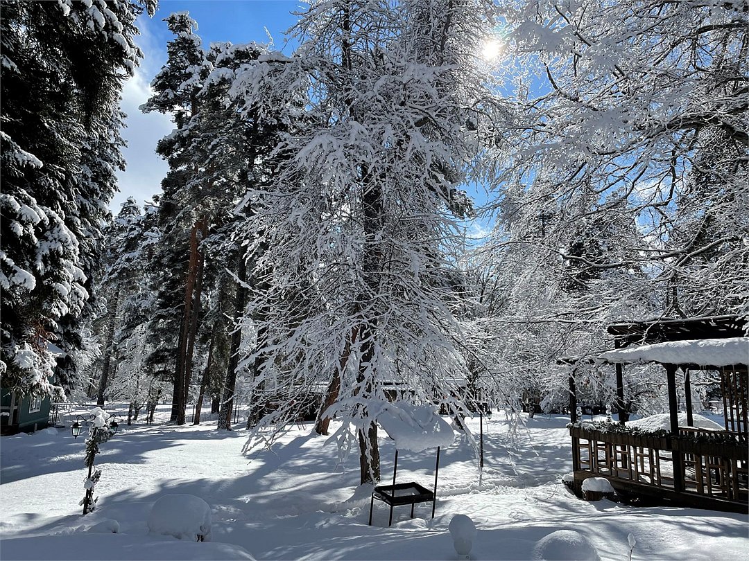 Грин Парк & Спа, Республика Карачаево-Черкесия: фото 3
