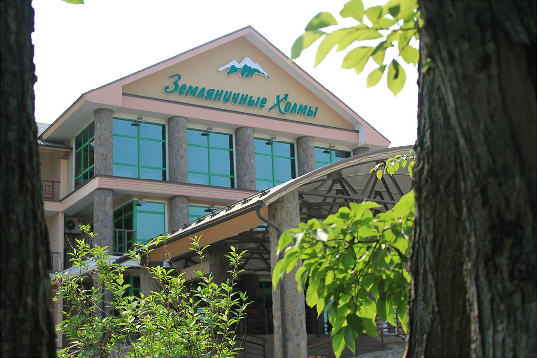 Земляничные холмы , Сахалинская область: фото 2