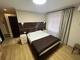 Двухместный номер 1 большой или двумя раздельными кроватями  и дополнительным местом, Бутик-отель Милтон, Ростов-на-Дону