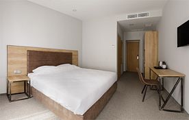 Стандартный номер с двуспальной кроватью, Отель Turris Hotel Petrovsky, Москва