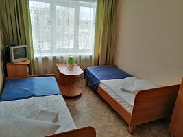 Эконом двухместный (Twin), Гостиница АМАКС отель, Курган