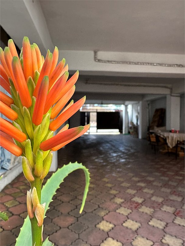 Мартлен, Краснодарский край: фото 3