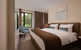 СТАНДАРТ с одной широкой кроватью, Отель Palmira Garden & Spa, Видное