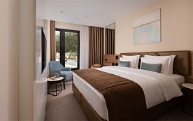 СТАНДАРТ с широкой кроватью с выходом на террасу, Отель Palmira Garden & Spa, Видное