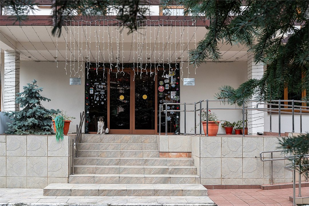 Гала-Альпик, Краснодарский край: фото 5