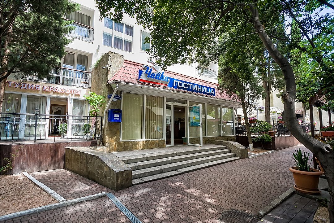 Чайка, Крым: фото 2