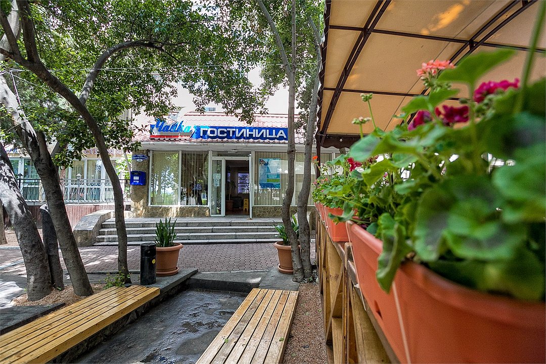 Чайка, Крым: фото 3