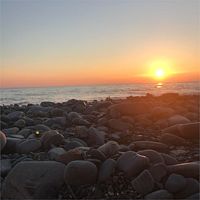 Морской Апартаменты с собственной кухней, Отель Винговер, село Сукко