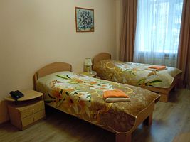 СТАНДАРТНЫЙ ДВУХМЕСТНЫЙ НОМЕР С 2 ОДНОСПАЛЬНЫМИ КРОВАТЯМИ, Отель Family hotel, Курган