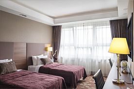 Twin, Отель Bezhitsa Гранд, Брянск