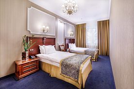 Стандартный TWN, Гостиница Династия, Курск