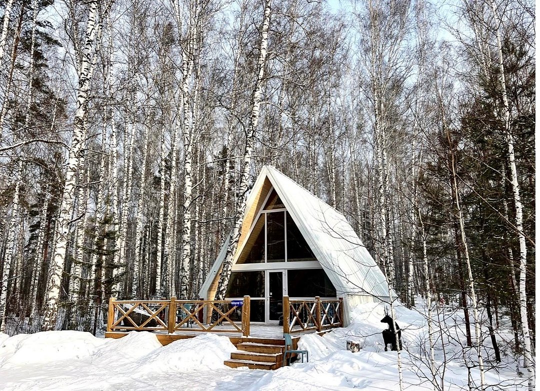 Хвоя, Новосибирская область: фото 2