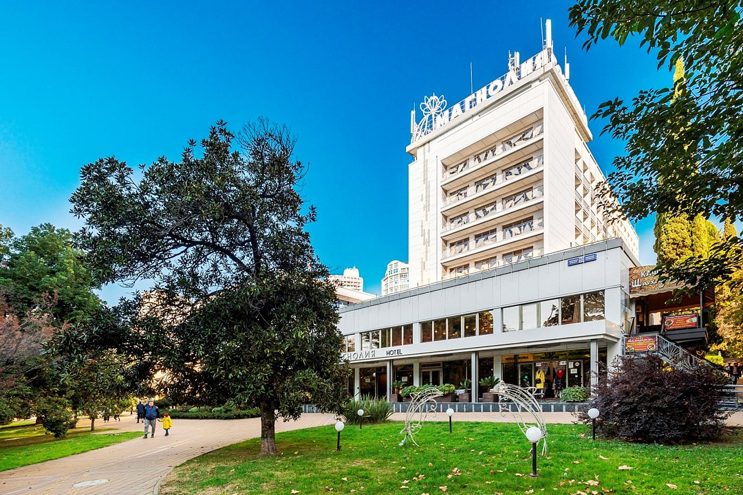 Магнолия, Краснодарский край: фото 4