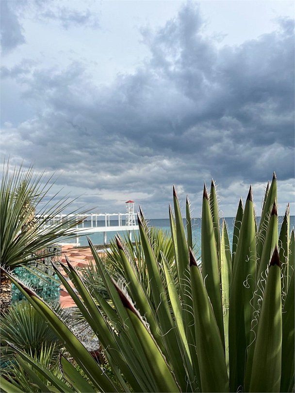 Бутик-отель Seven, Ялта, Крым