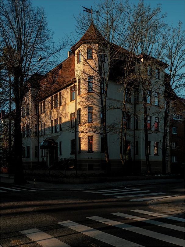 Чайка, Калининградская область: фото 2