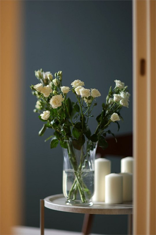 Отель Hovard Club, Ленинградская область: фото 5