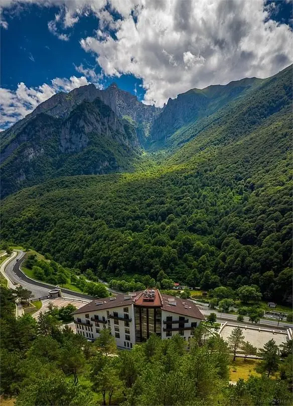 Отель Forrest Terrace Hotel, Алагирский район, Республика Северная Осетия (Алания)
