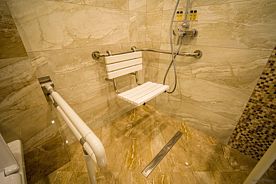 НОМЕР ДЛЯ МАЛОМОБИЛЬНЫХ, Отель Forrest Terrace Hotel, Алагирский район