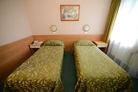 ЭКОНОМ двухместный, Аэроотель Аэротель Домодедово, Домодедово