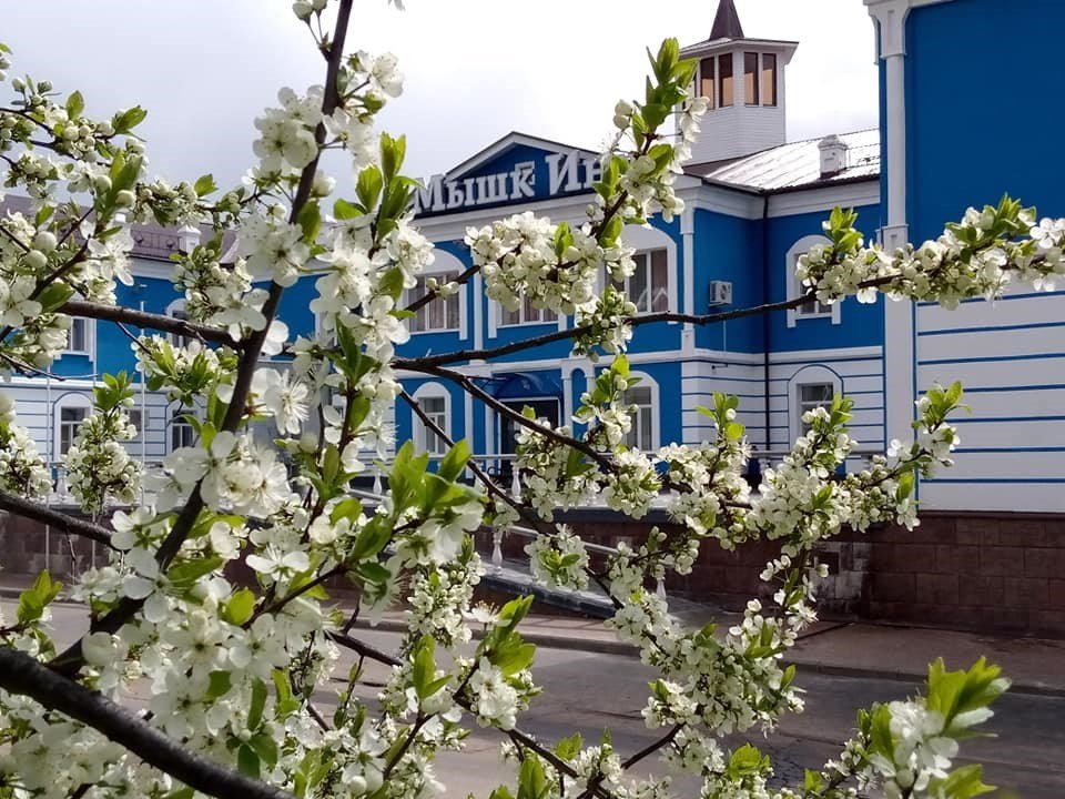 Отель Мышк Инн, Ярославская область: фото 3