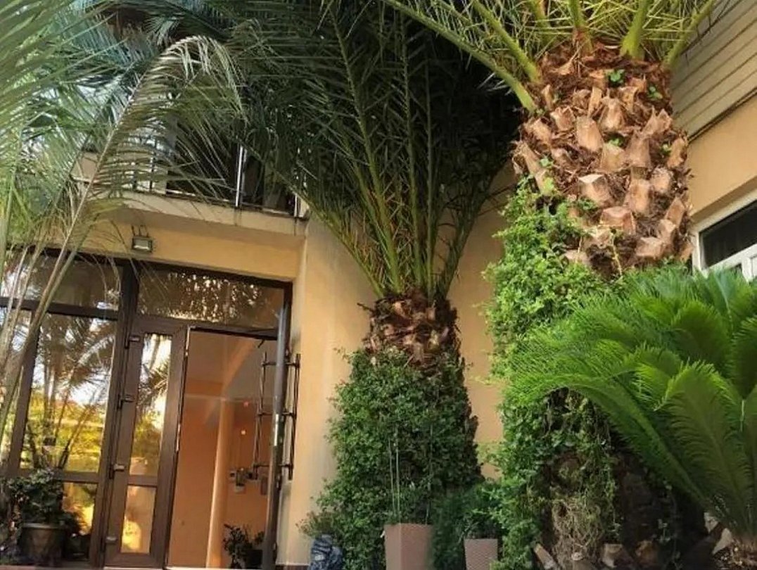 Кристи, Краснодарский край: фото 4