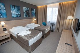 Бизнес с двумя раздельными кроватями, Гостиница Амакс, Рязань