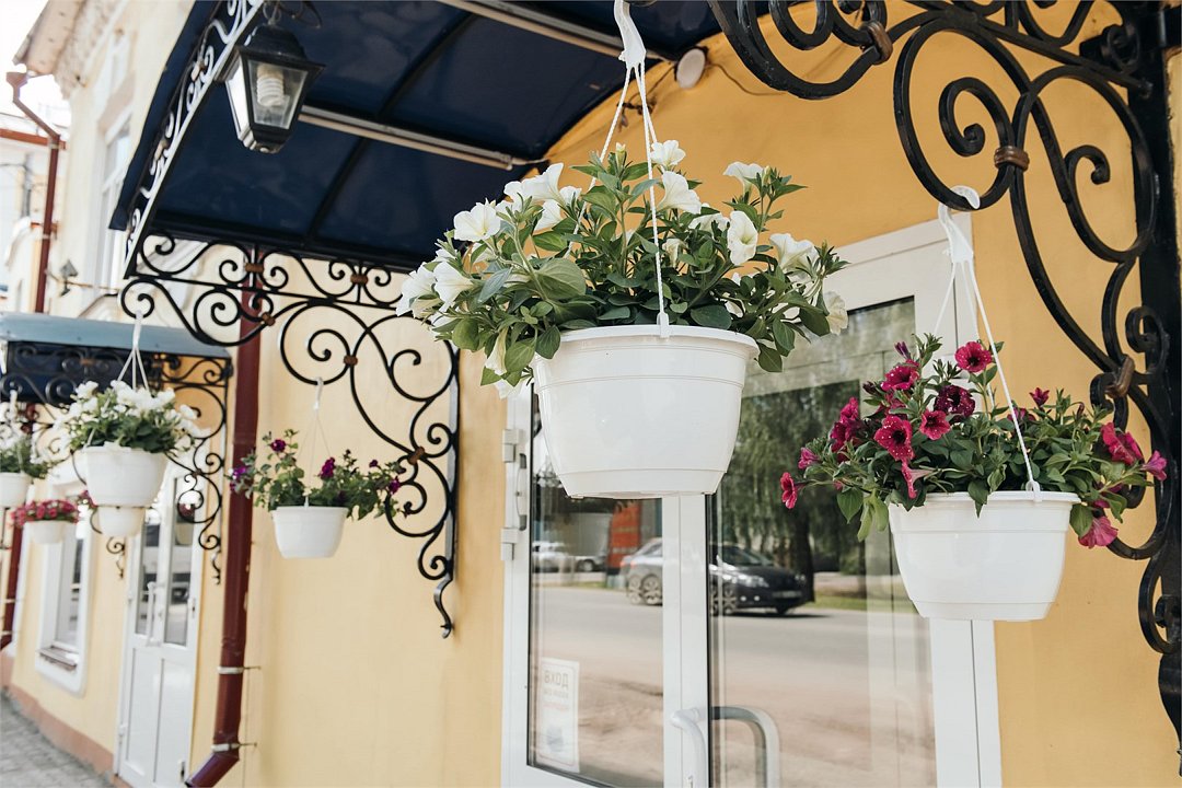 Двина, Вологодская область: фото 5