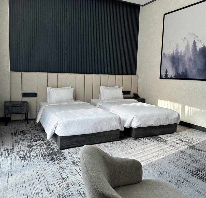 Делюкс 2-местный TWIN