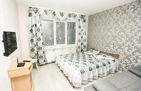 1-комнатная квартира на 1 этаже, Однокомнатная квартира в микрорайоне Луговой, Великий Новгород