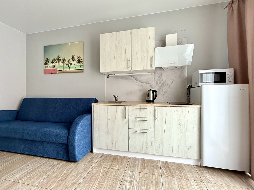 Апартаменты 2-местный 1-комнатный №1