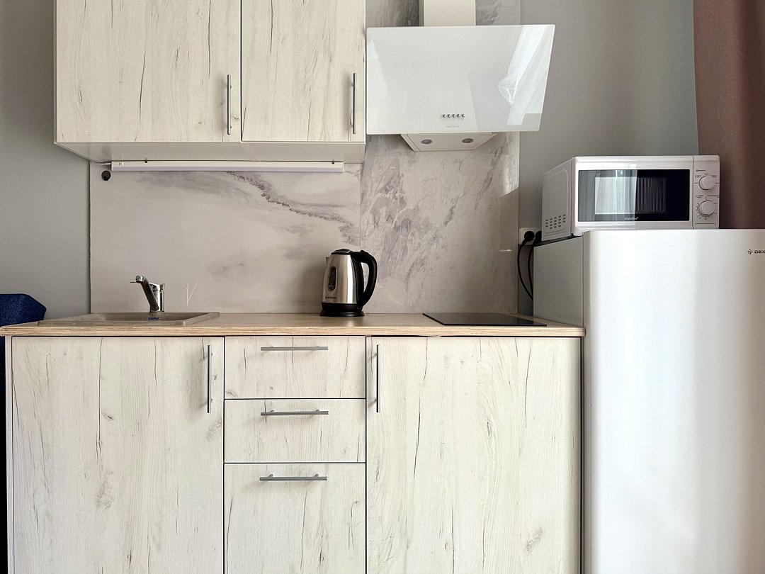 Апартаменты 2-местный 1-комнатный №1