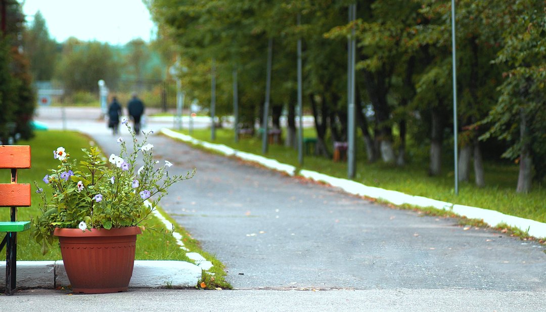 Новый источник, Вологодская область: фото 5