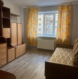 Трёхкомнатная квартира на Веряжском раздолье